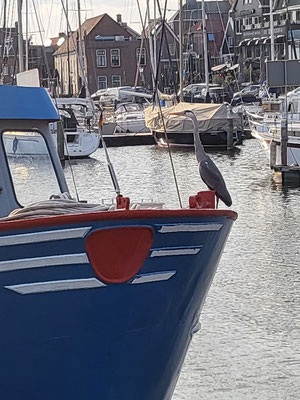 Wächter in Urk