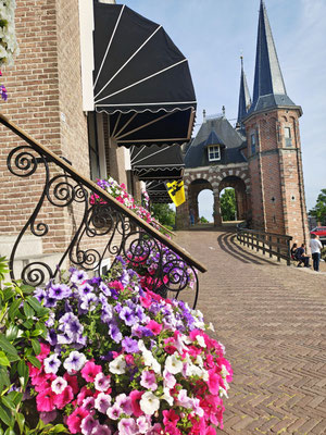 Blumenpracht überall