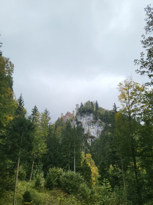 Wanderung am Fuße von Neuschwanstein