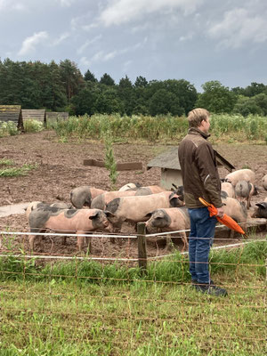 Foto: Reiner Brückner