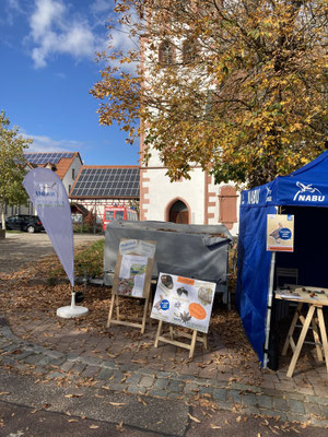 Foto: Reiner Brückner