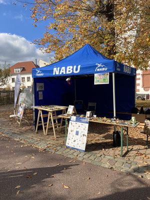 Foto: Reiner Brückner