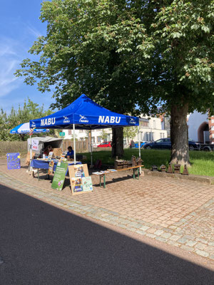 Foto: Reiner Brückner