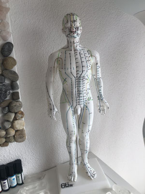 Energiesystem; Chakra, Meridiane & Akupunktur