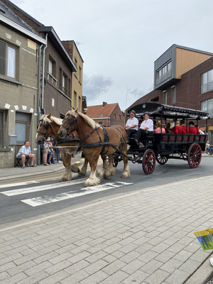 Opwijk - De eerste trekpaarden en de eerste wagen - met jachthoornblazers - in de Sint-Paulus-Paardenprocessie - 26 juni 2022