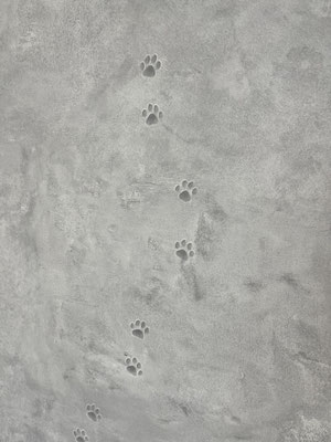 よく見ると可愛い肉球柄の壁紙！