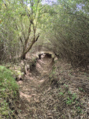 📍Wanderung Mount Myojingatake