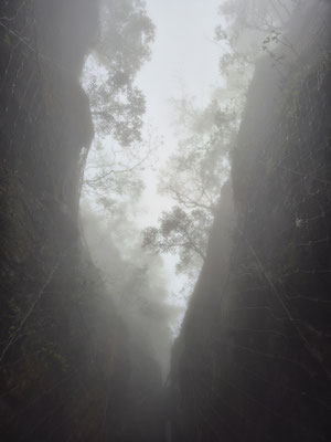 📍Tianmen Mountain 🙈