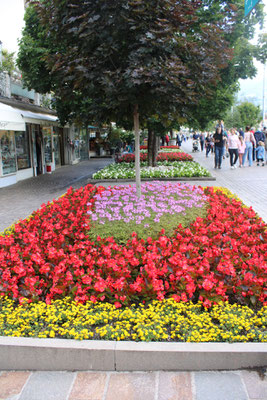 Blumenmeer in Meran