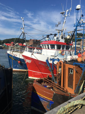 Oban Hafen 