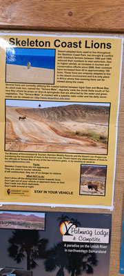 Beware, lion territory!