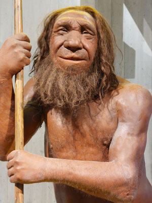 Neanderthalmuseum Mettmann