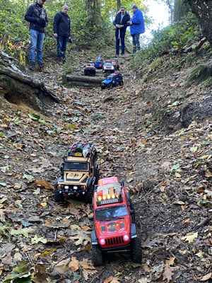 Boswandeling met de Crawlers