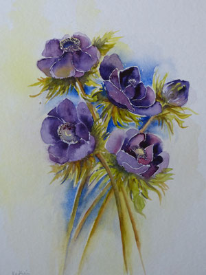 Anemonen 40x50