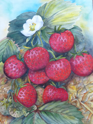 ImErdbeerbeet 50x70