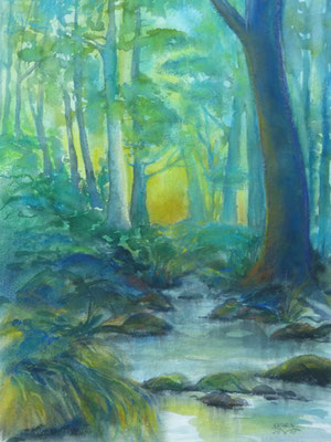 An der Wilden Weißeritz 40x40