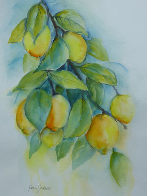 Zitronen am Zweig 30x40