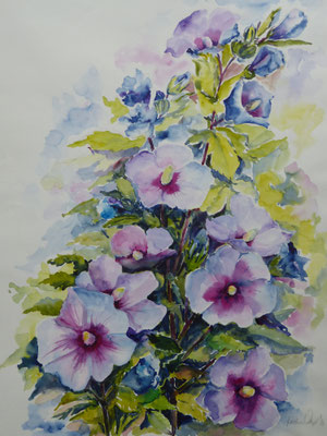 Roseneibisch 50x70