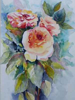 Rosen 40x50