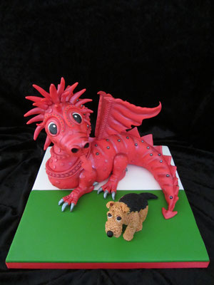 Little Welsh Dragon 😉🥰...