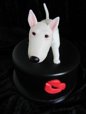 Der Bullterrier 😘