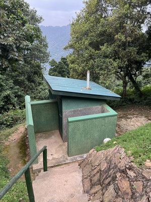 Dschungel-WC: perfekt und sauber
