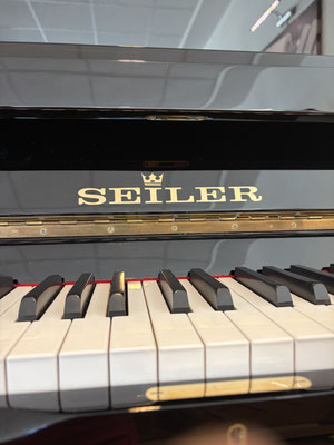 gebr. Seiler Klavier 118 - Piano Dubbel