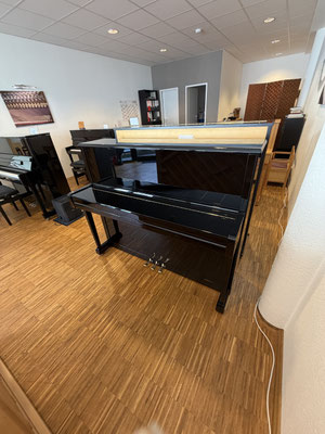gebr. Seiler Klavier 118 - Piano Dubbel