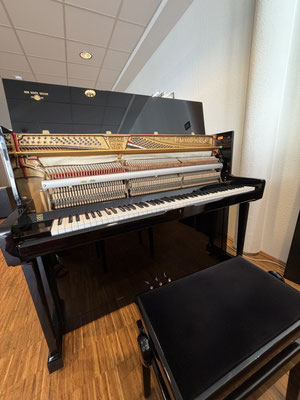 gebr. Seiler Klavier 118 - Piano Dubbel