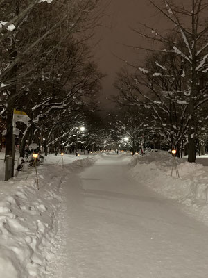 Sapporo Yuki Matsuri....Snow Festival