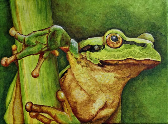 "Sei kein Frosch"