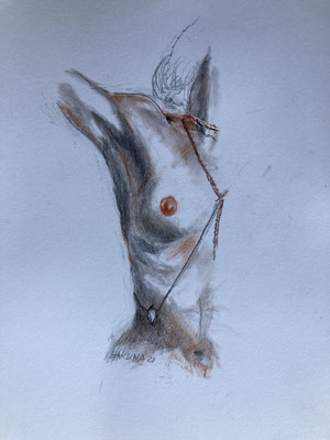 Talisman