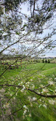 Blick übers Feld
