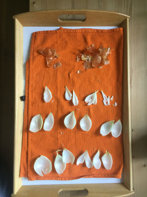 Das Zwiebelsystem oft genannt und nun endlich erforscht bis in die letzte Schicht.
