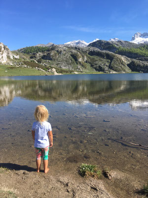 Picos de Europa