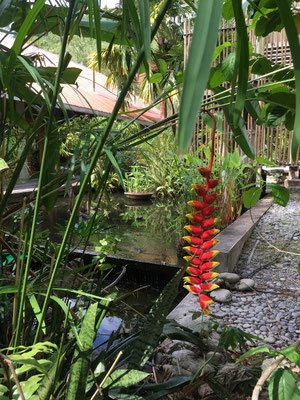 Belum Rainforest