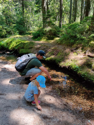 Wanderung im Zauberwald