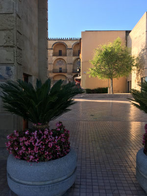 Córdoba