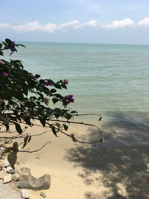 Lost Paradise Resort Penang