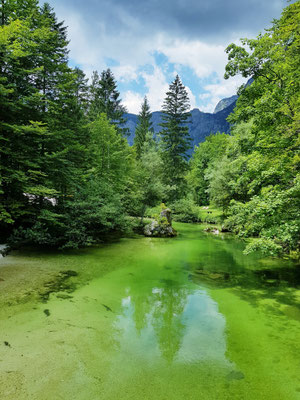 Spiegelklares Wasser. Dinu musste natürlich hinein, es war A.....kalt!