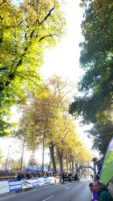 Herbstwetter, herrlich