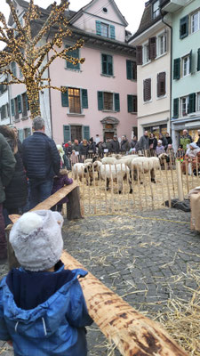 Krippenspiel Solothurn