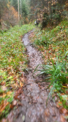 Trail halt