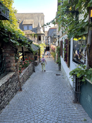 Man kann nicht in Rüdesheim verweilen, ohne Besuch einer der bekanntesten Straßen Deutschlands, der Drosselgasse. In der kopfsteingeflasterten 2m breiten und 144m langen Gasse haben sich schon im 19. Jhdt. mehrere Schankwirtschaften etabliert.