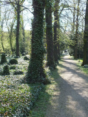 Friedhof in Stadftmitte