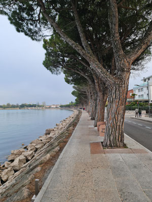 Peschiera del Garda