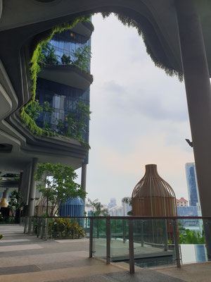 Parkroyal on Pickering Singapur Infinity Pool