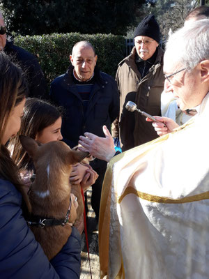 FESTA DI CARNEVALE 2020 - Parrocchia Santa Maria del Carmelo