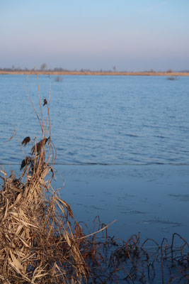 Still flowing, photography