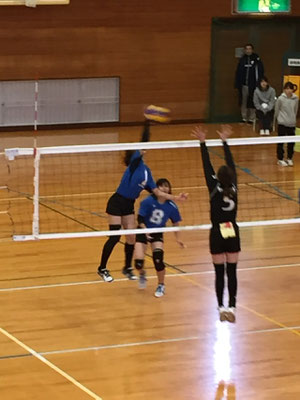 鳥取大学バレーボール部 jimdo